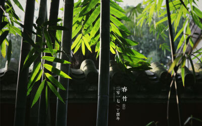 想要收集的年味
却是打捞了一池光影