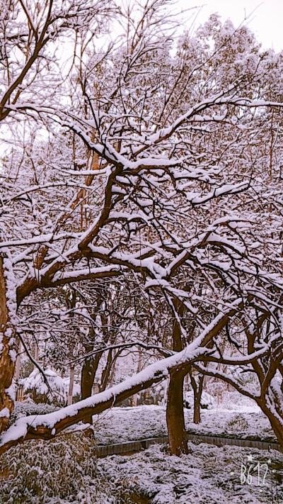 2017第二场雪