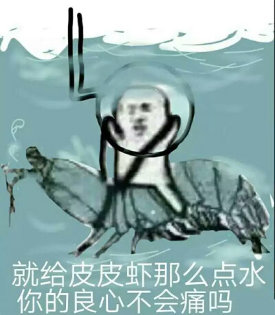 皮皮虾