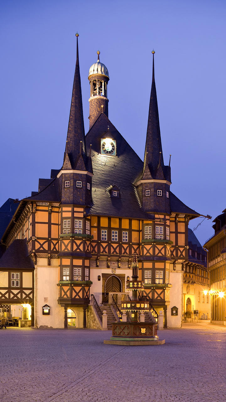 壁纸 背景图片 静物 风景 城市 乡村 鲜花 花瓶 天空 灯火 建筑物