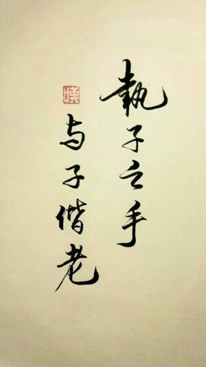 文字情