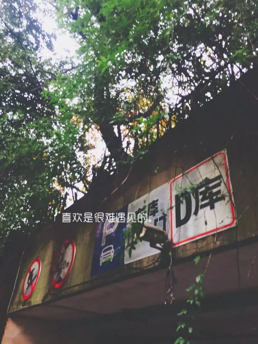 随手的风景