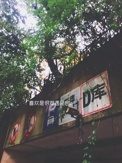 随手的风景