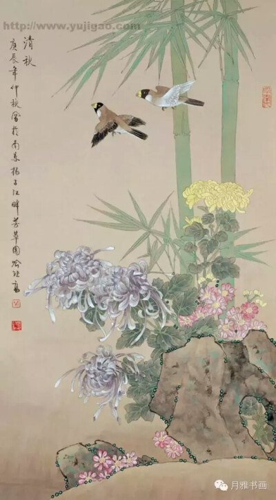 国画 菊。工笔