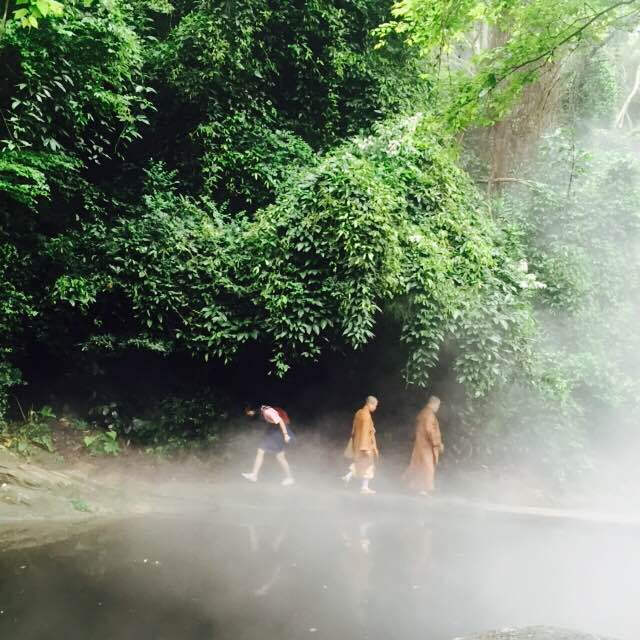 <深山遇僧人·下>万石植物园特色之一 热带雨林区 好友帮我“凹造型”的办法就是“你随便动，我会自己抓拍的”这就是抓怕成果之一，好友觉得很有故事感，也和这“仙雾”莫名的搭啊~哈哈