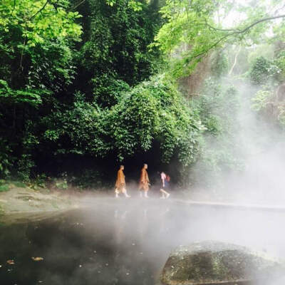 <深山遇僧人·上>万石植物园特色之一 热带雨林区 好友帮我“凹造型”的办法就是“你随便动，我会自己抓拍的”这就是抓怕成果之一，好友觉得很有故事感，也和这“仙雾”莫名的搭啊~哈哈