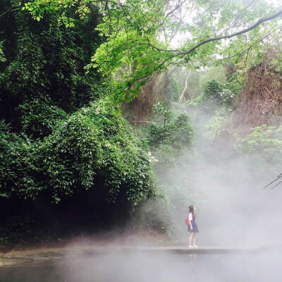 万石植物园特色之一 热带雨林区 雨林区每天定时会有两个时间段人工喷水雾，营造“热带雨林”的氛围，所以在这个时间段拍照的人很多，拍出来的效果确实很美