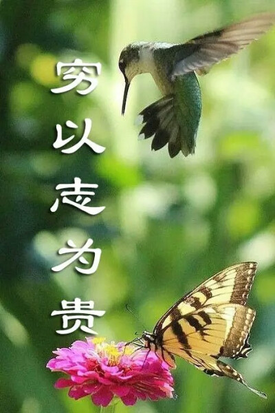 穷以志为贵