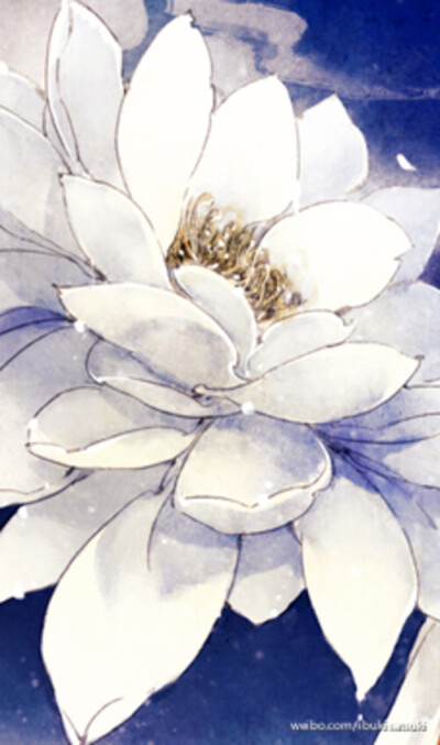 古风 插画 作者〔伊吹五月〕