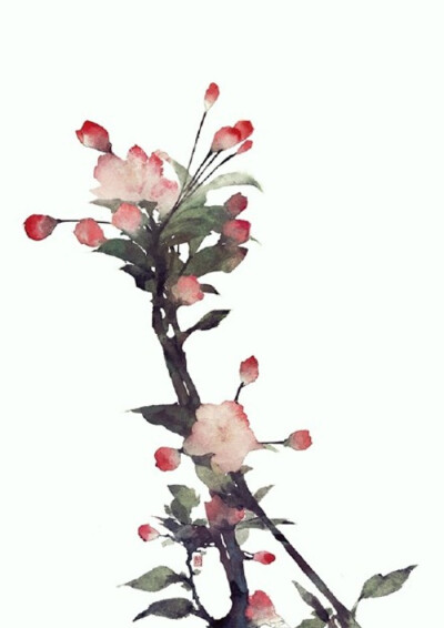 古风 插画 作者〔伊吹五月〕