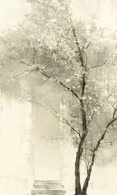 古风 插画 作者〔伊吹五月〕