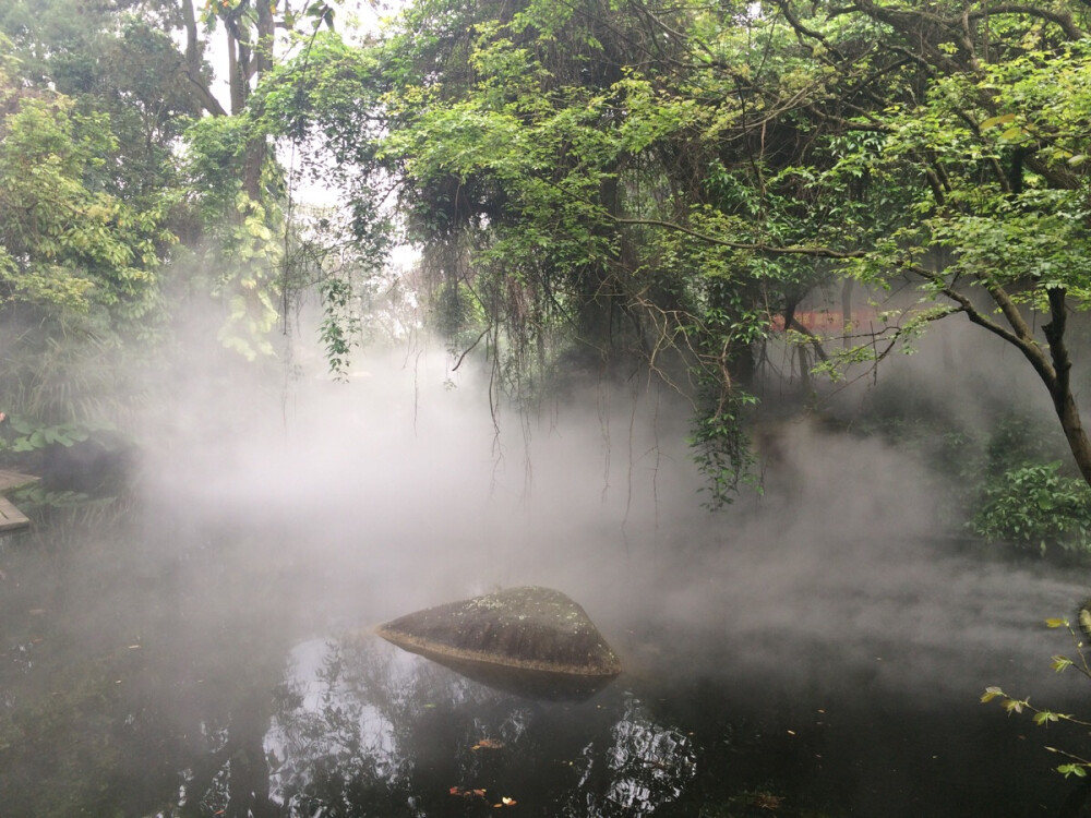 原图 雾气感非常足