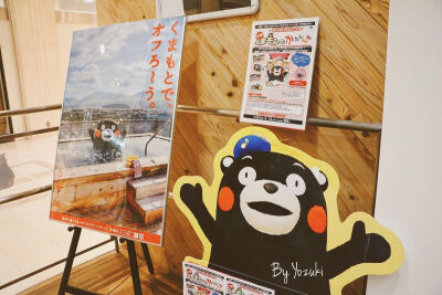 熊本熊 部长 电脑壁纸 桌面壁纸 高清 kumamon