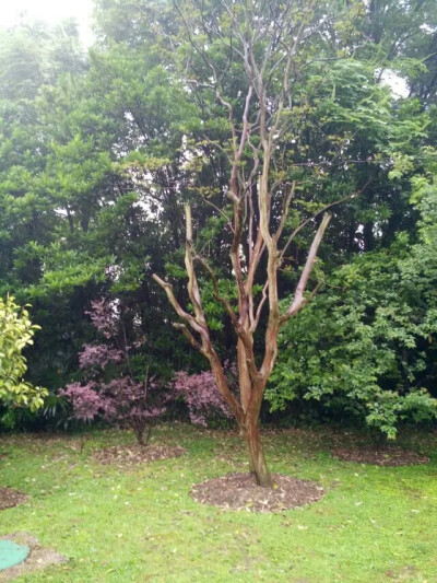 风景 图片 桌面