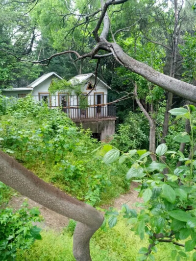 风景 图片 桌面