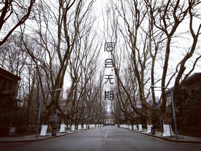 南京，金陵一梦，东南大学