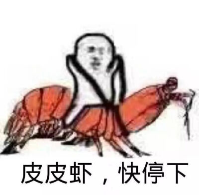 皮皮虾