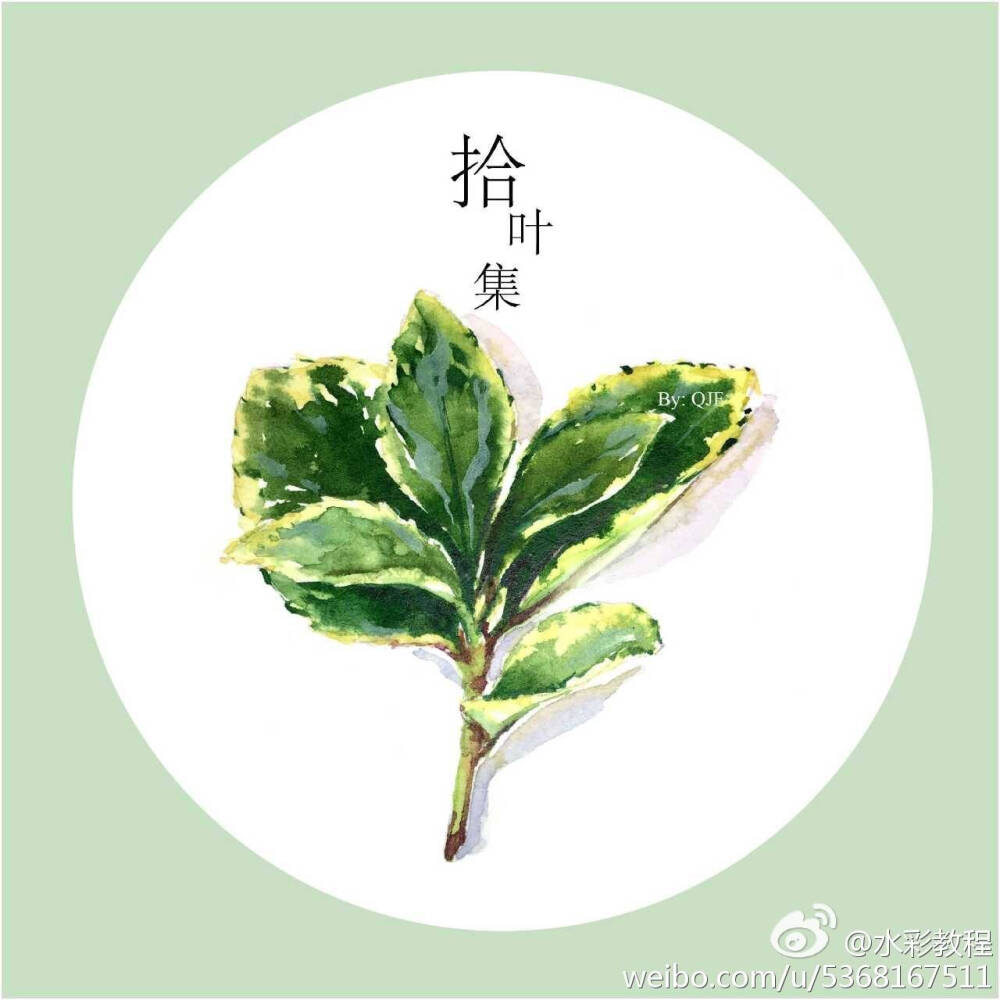 水彩植物