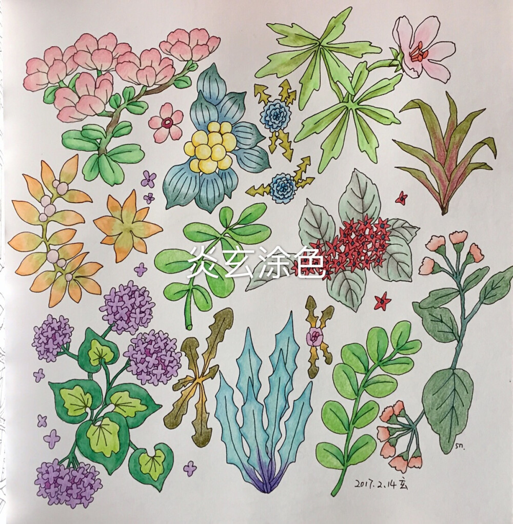 涂鸦秘密花园填色森林可爱动物1评论8更多