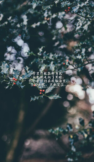 #给张起灵的九十九句情话#我不曾为谁执笔挥墨，却甘愿为你倾尽满腔热血，字句斟酌。61.  梦里你毅然转身就从光明走向了黑暗，你的背影刻在我脑海里，余韵渐收，只剩哭泣。  文/清栈辰，图@绣魅玉妖【绣魅玉妖出品，Fleeting time】二次元 动漫场景 手机壁纸 竖屏壁纸 星空壁纸 手写壁纸 自制壁纸 英文壁纸 古风壁纸 原创壁纸）