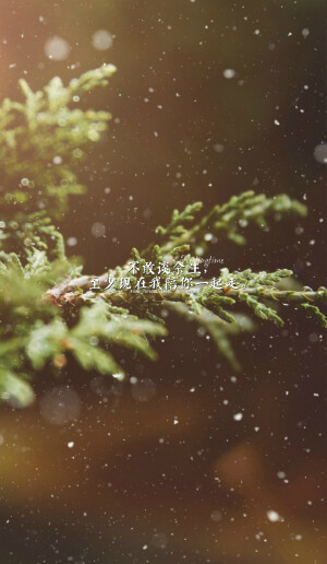 #给张起灵的九十九句情话#我不曾为谁执笔挥墨，却甘愿为你倾尽满腔热血，字句斟酌。62.  不敢谈余生，至少现在我陪你一起走。  文/清栈辰，图@绣魅玉妖【绣魅玉妖出品，Fleeting time】二次元 动漫场景 手机壁纸 竖屏壁纸 星空壁纸 手写壁纸 自制壁纸 英文壁纸 古风壁纸 原创壁纸）