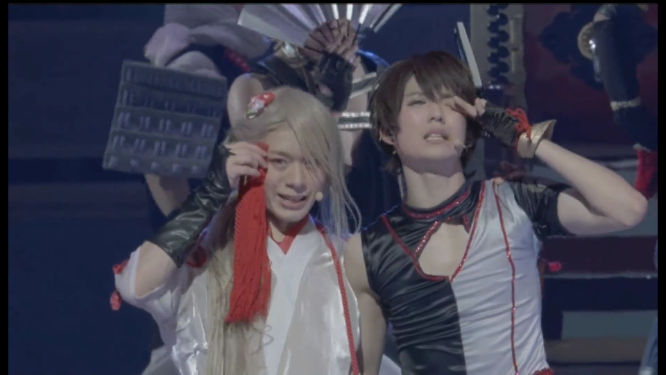 新选三条的两只小可爱