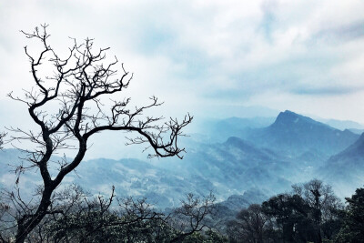 成都·青城山上