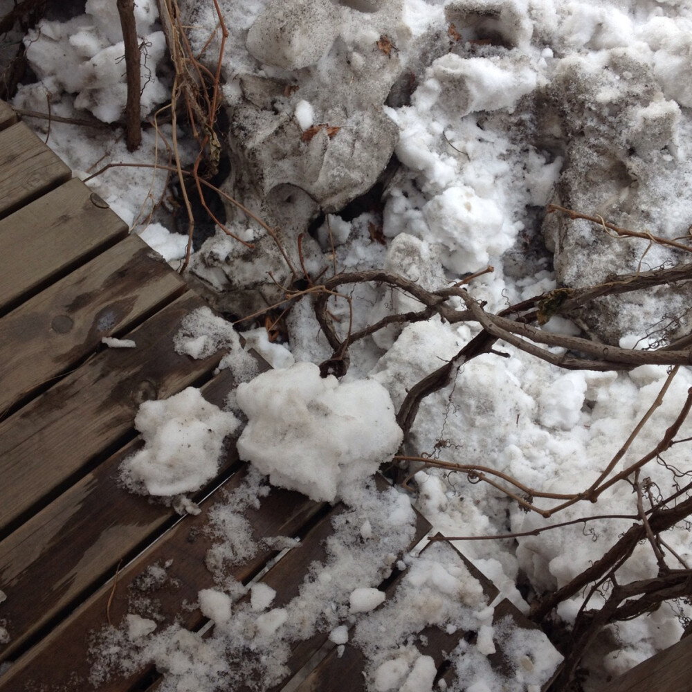 肮脏的雪 即使曾经洁白