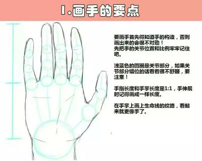 〖凉糕〗手的画法
