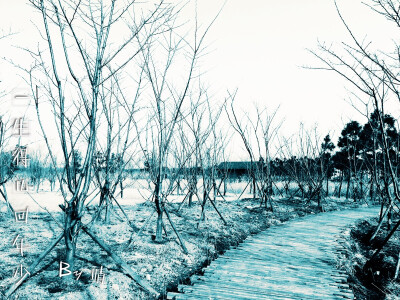 一生得几回年少