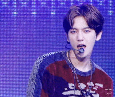 EXO 伯贤