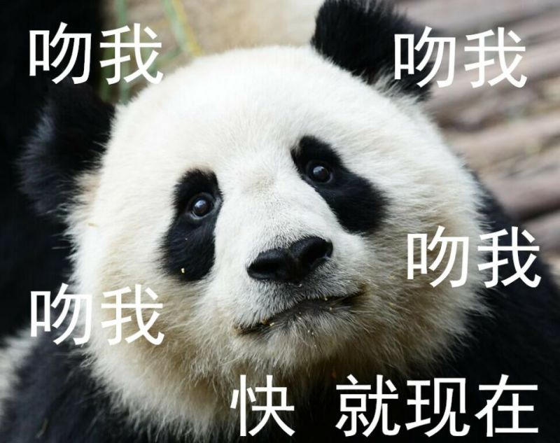 吻我
