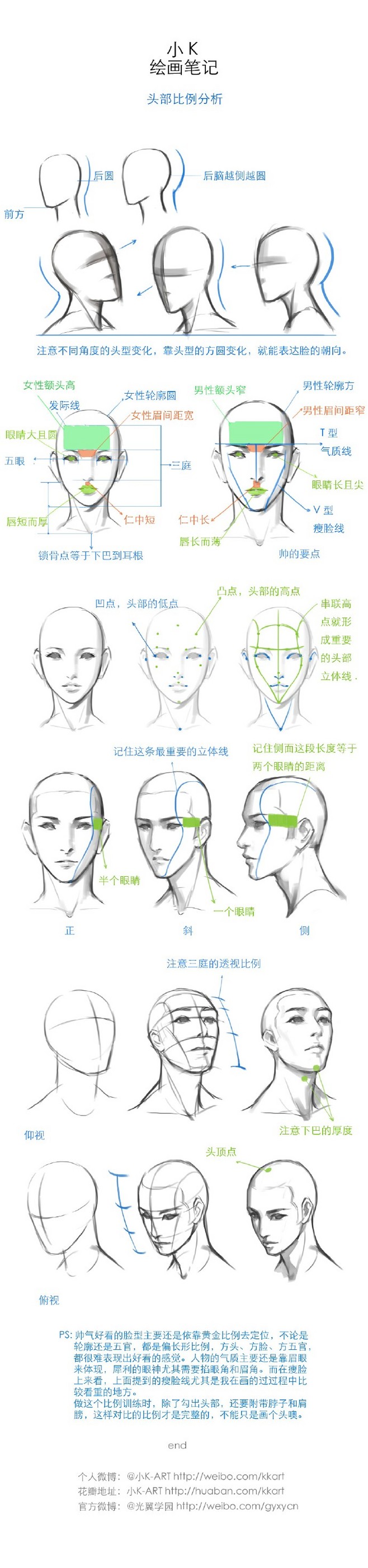 头部比例问题