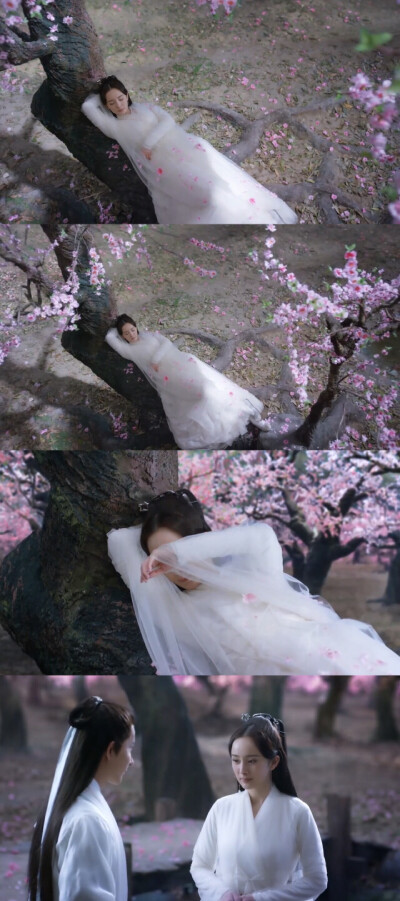 三生三世十里桃花