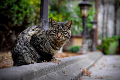 20160407 摄影：cherry刘欣怡