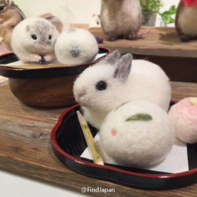 日本「coto coto felt works」的羊毛毡作家児玉彩的羊毛毡作品，每一只小动物都栩栩如生，超级治愈！ ​​​​
