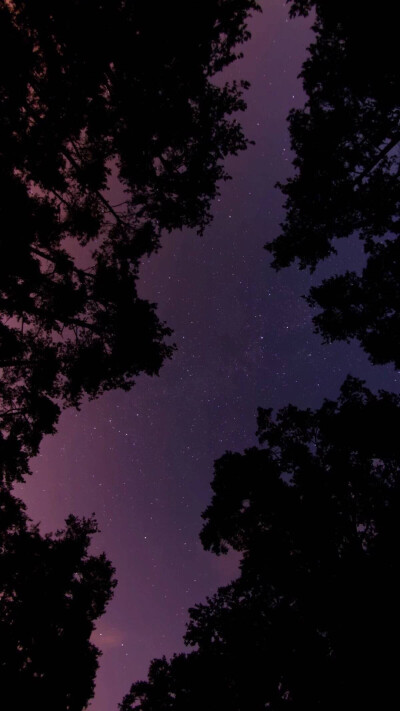 愿有岁月可回首#