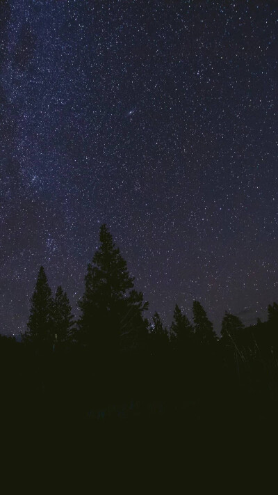 愿有岁月可回首#