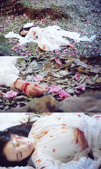 三生三世十里桃花