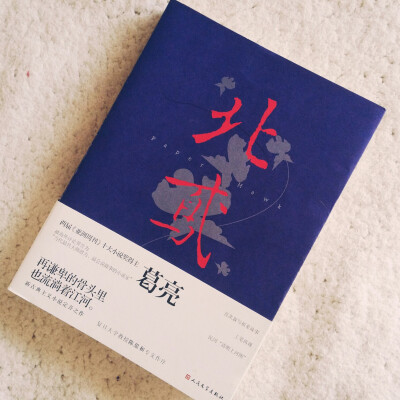 #寒假#《北鸢》（葛亮）