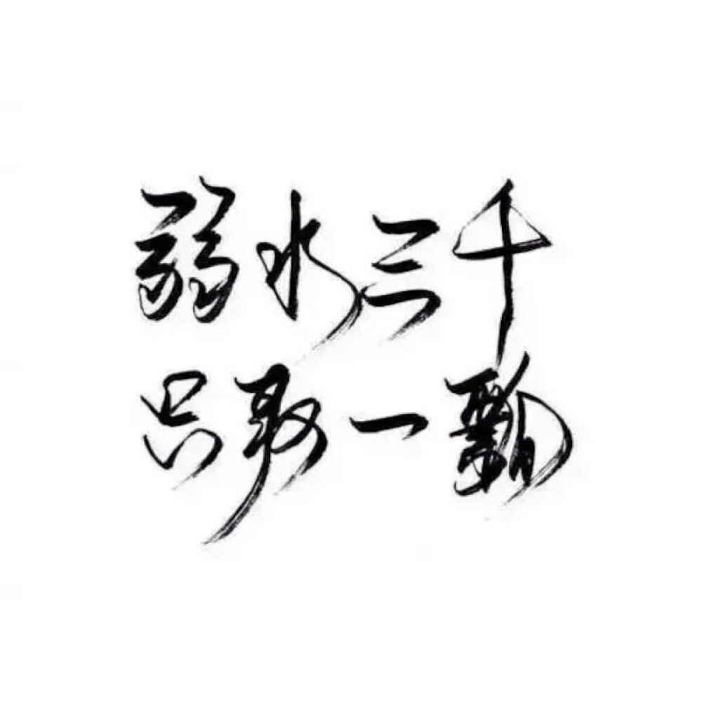 「弱水三千 只取一瓢。」