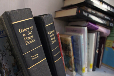 Gateway to the Great Books. Photo by Jiali Chen at TARDIS Little Free Library Macon, GA USA.