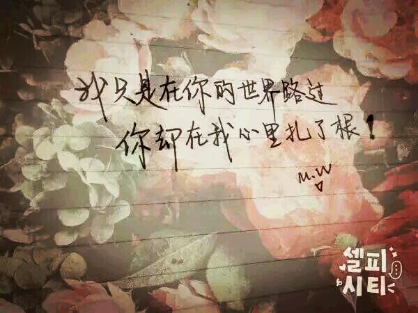 经历