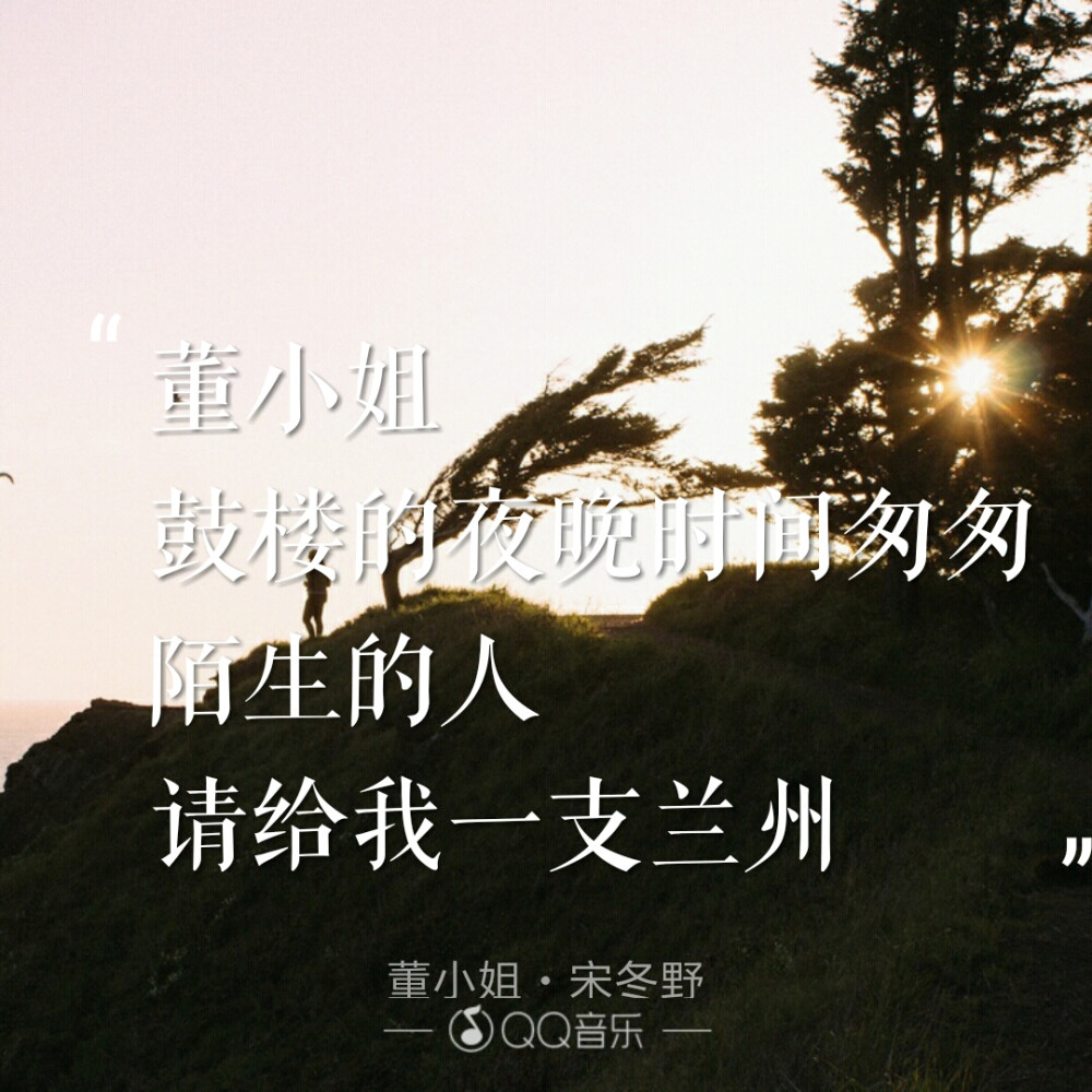 董小姐
