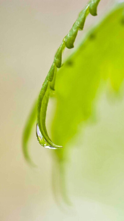 雨后