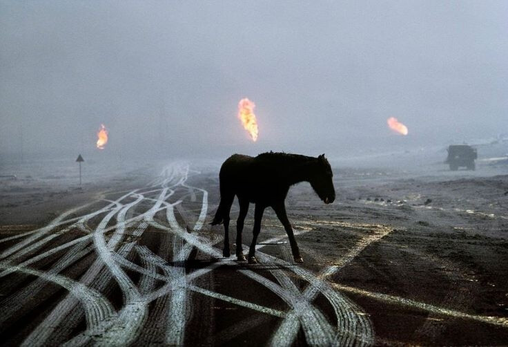 Steve McCurry，人文摄影