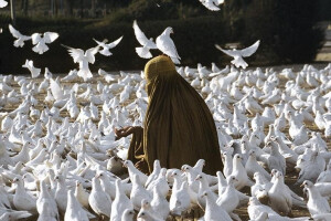 Steve McCurry，人文摄影