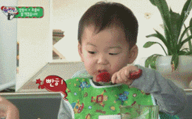 千年一遇宋民国