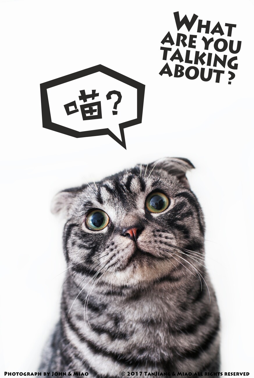 What are you talking about?