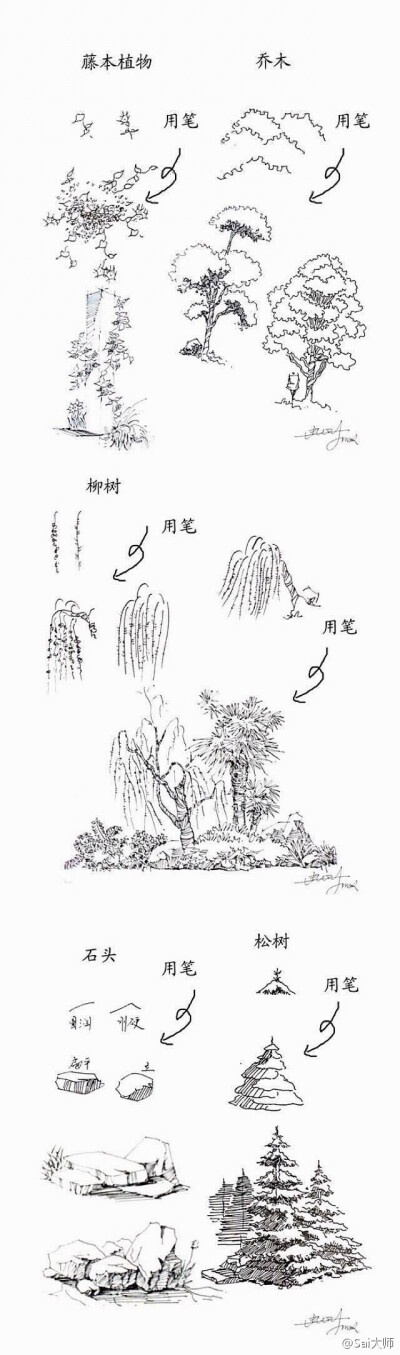 #绘画学习# 分享20种植物手绘速写技法，转给需要的伙伴们把~ # ​​​设计秀# ​​​​